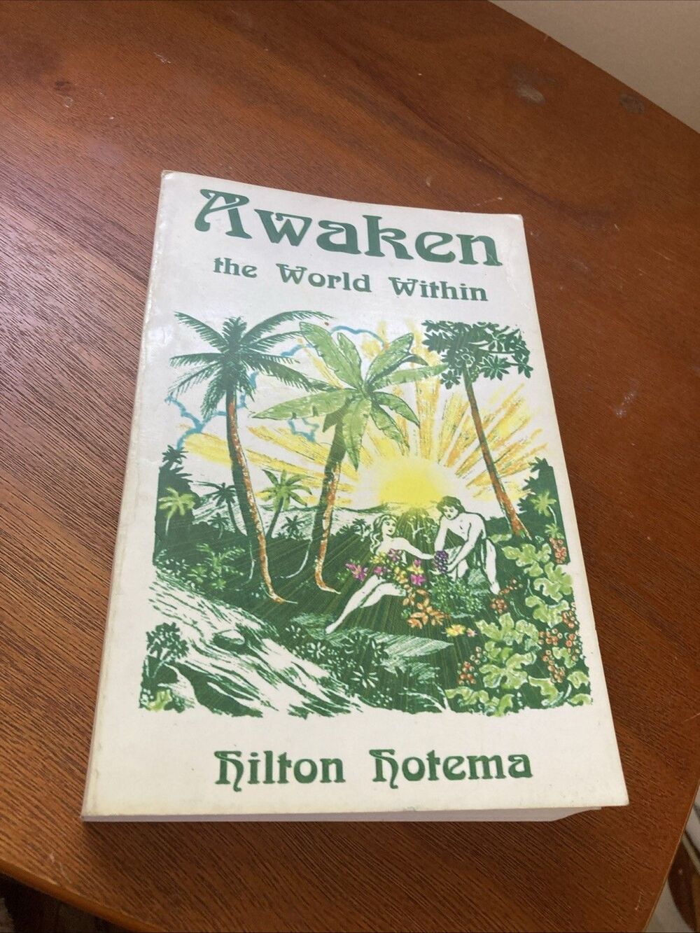 Awaken The World Within Hilton Hotema Religion Meditation Spiritualism Book